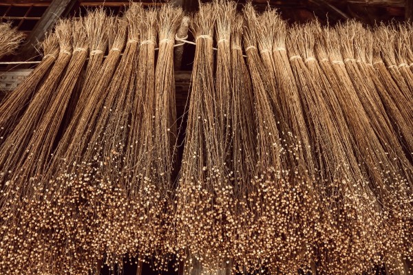 3rd Flax-Brächete Val Müstair