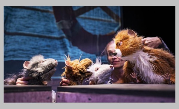 Die Muskeltiere
