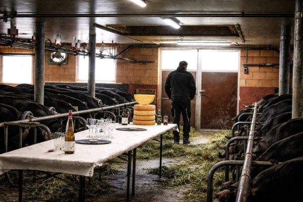 Visit to a Farm
