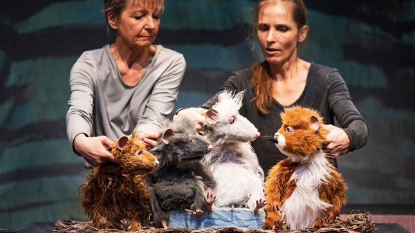The Muscle Mice