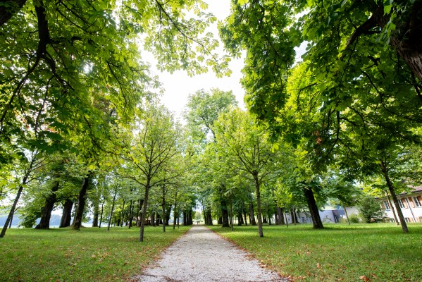 Natur. Klima. Psyche – interaktiver Vortrag im Schlossgarten