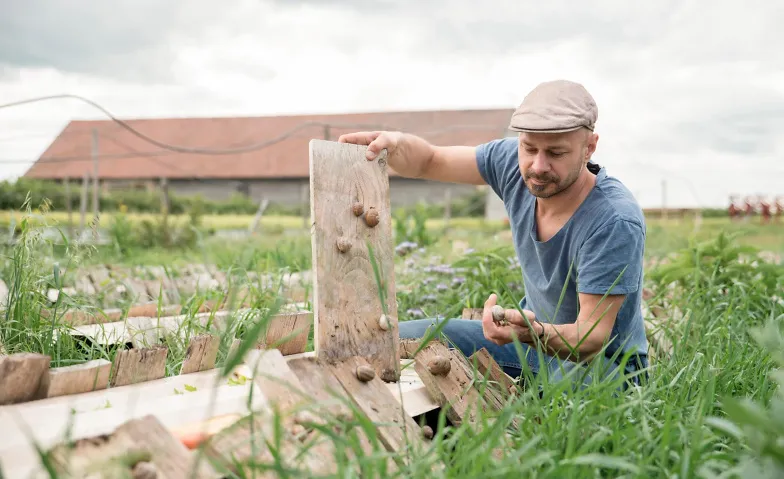 Caracoles, verduras y la "Ciudad Comestible"