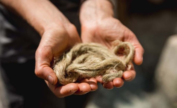 Preparing Nettle Fibers and Spinning a Fine Thread