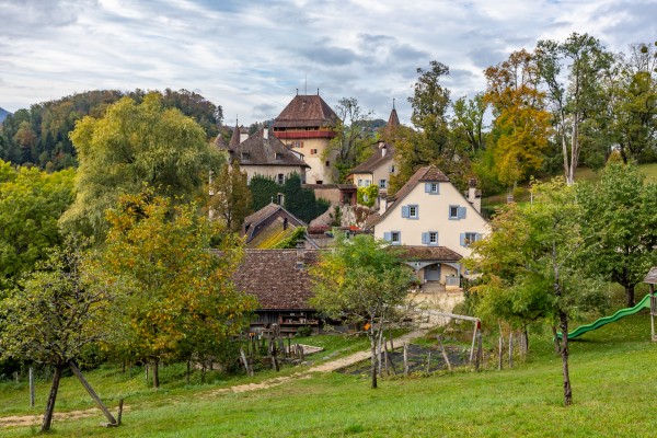 Guided tours of Wildenstein Castle