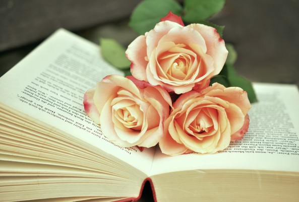 Literary Encounters