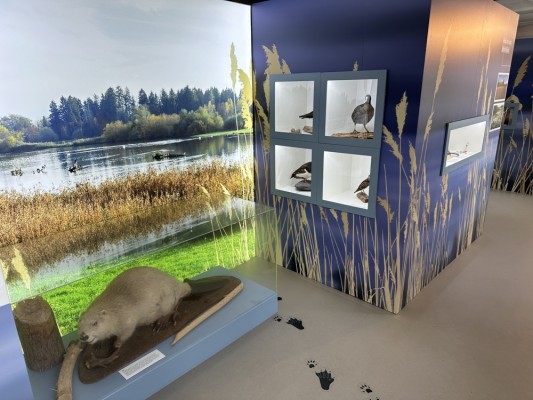 Auen, Riedwiesen, Flachsee – Nature and Cultural Landscape Heritage Reusstal