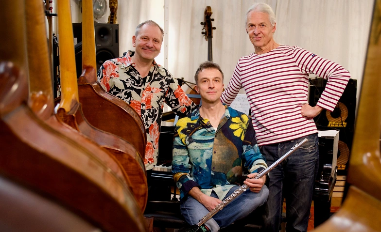 Trio Pintassilgos