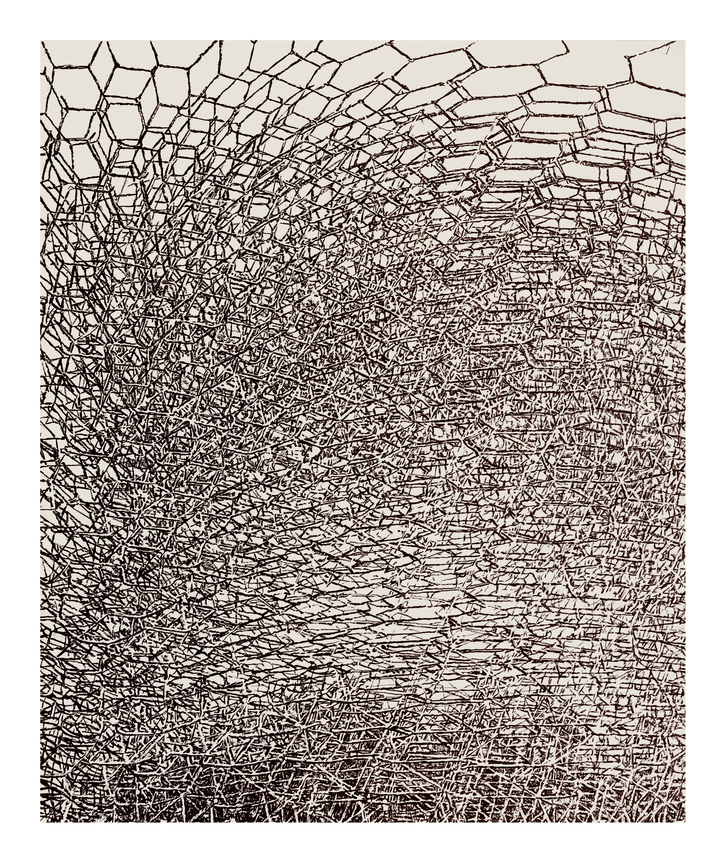 Exhibition "Promenade. The Measure of the Surroundings"