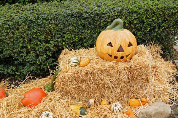 Taller para niños: Halloween