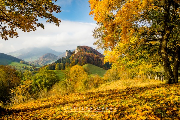 Taller de fotografía de otoño en la región de Basilea