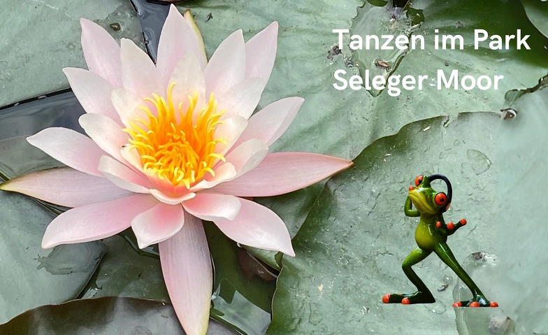 Tanzen im Seleger Moor - Azul Conscious Dance in der Natur