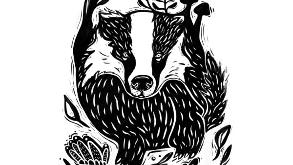 Special Exhibition 'Wow ... a Badger!'