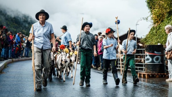 Sheep Fair and Desalpe in Jaun