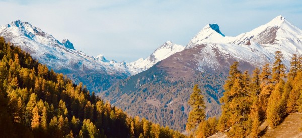 Oktobergold und Novemberrost