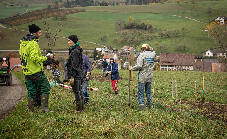 Natur Verbindet – Gemeinsam Zukunft pflanzen