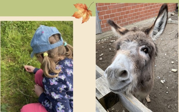 Autumn Children's Holiday Week, Wednesday, 30.9.