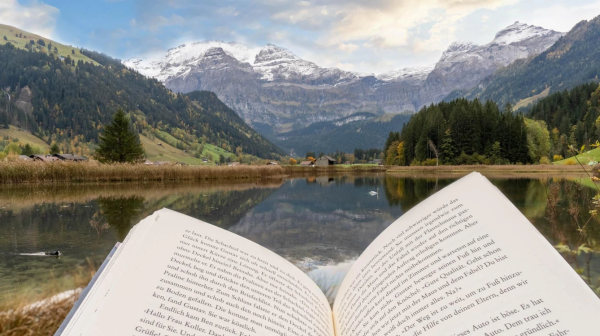 LiteratureLenk. Le Röstigraben n'existe pas.