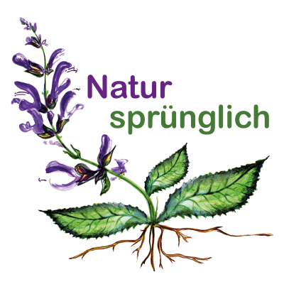 Recharge Your Health Account - Experience Mindfulness in Nature