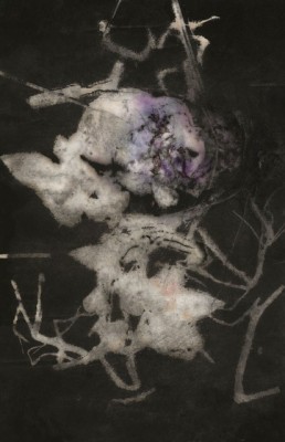 Art Exhibition "... in a Leaf Shine"