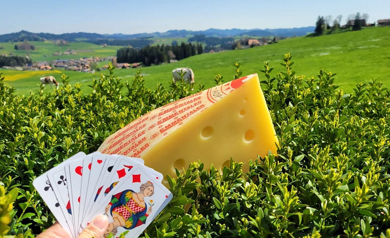 Käse Jassen
