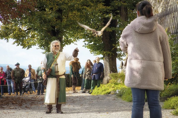 From eagles to owls: birds of prey at the castle