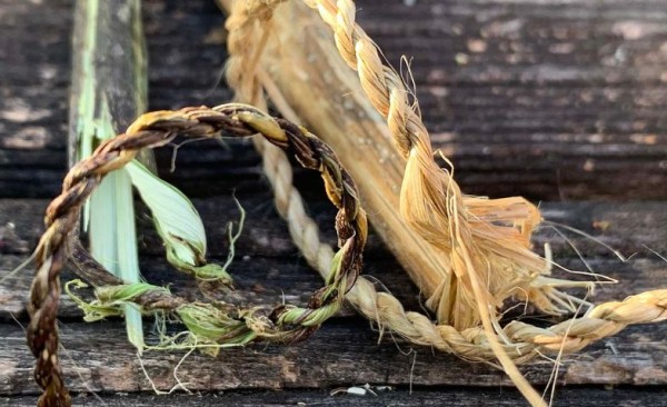 From the wild nettle to a fine thread