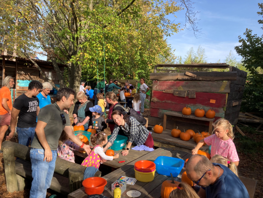 Pumpkin Carving