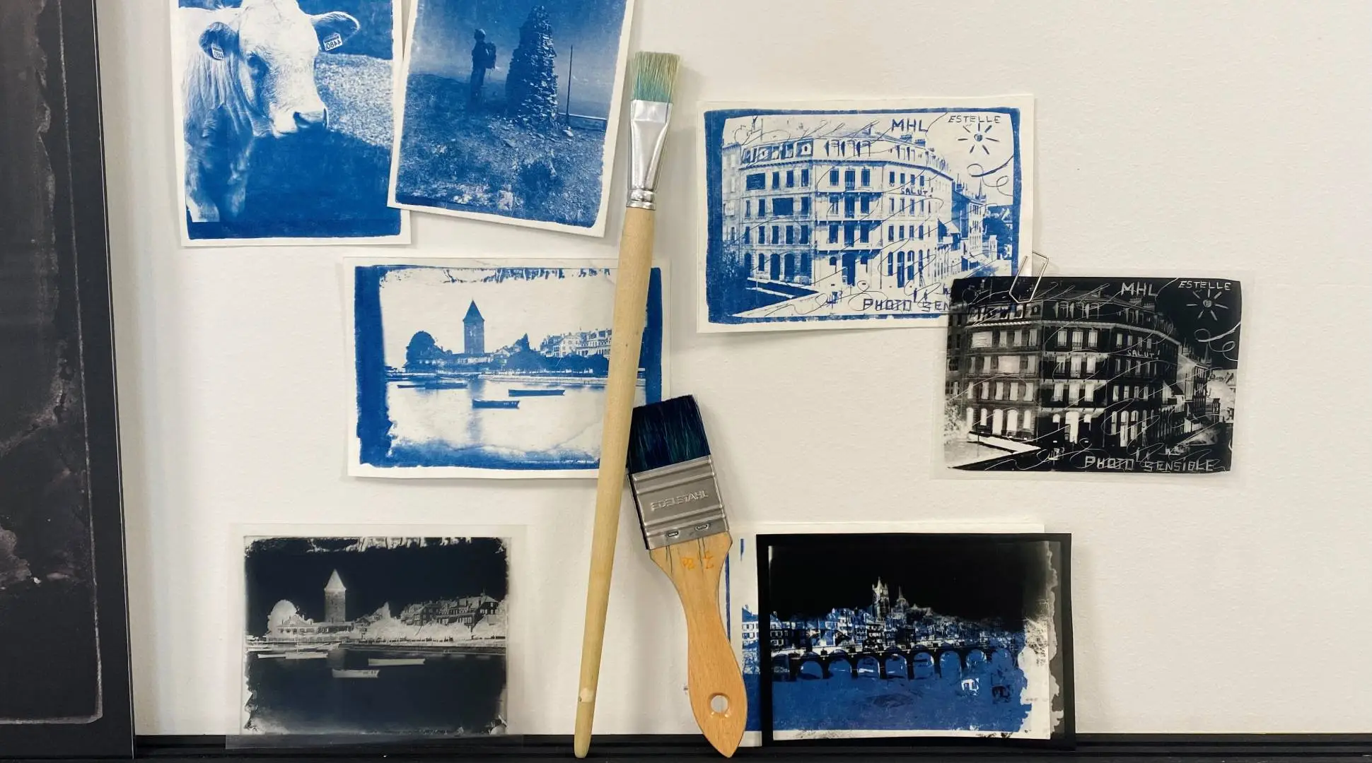 Your photos in cyanotype!