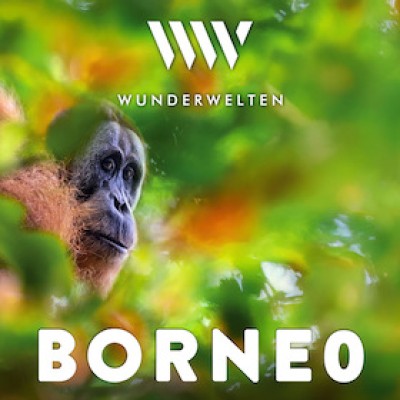 WunderWelten : Borneo - La vie dans la jungle