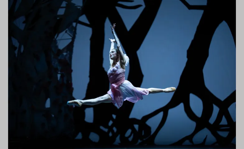 Ballett mit Orchester: Dornröschen
