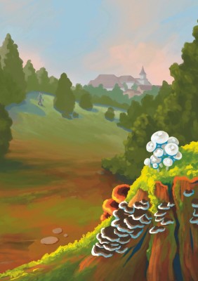 Pilz-Kurs für Fortgeschrittene mit Daniela