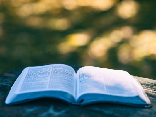 Club de lecture
