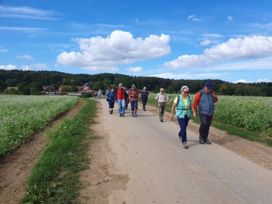 Afternoon Hike Affeltrangen – Weinfelden (SENIOR MACH WITH)