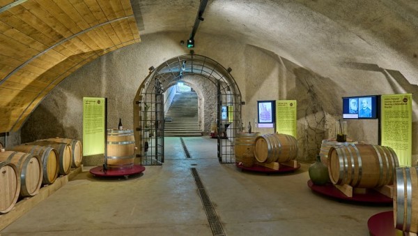 Exhibition: 2000 Years of Wine at Arenenberg