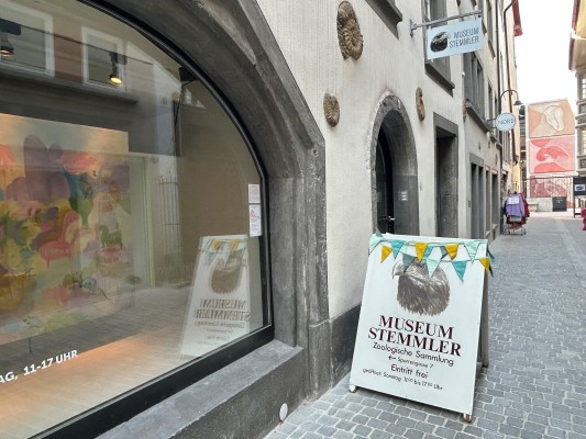 First Friday au musée Stemmler