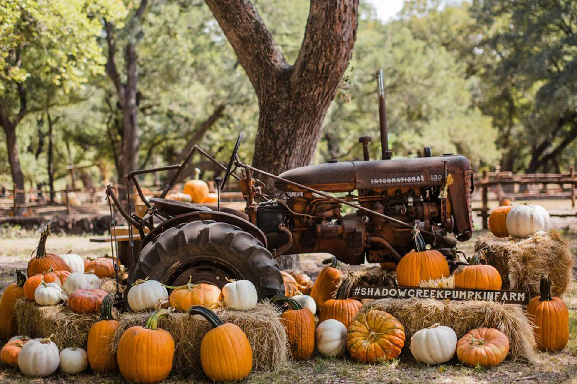 Fuori di Zucca, el pueblo de las calabazas