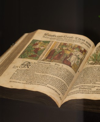 Public Tour - Museum of Medical Historical Books Muri