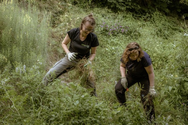 Ensemble pour le Paradis Naturel – le Bannholz se prépare pour l'hiver !
