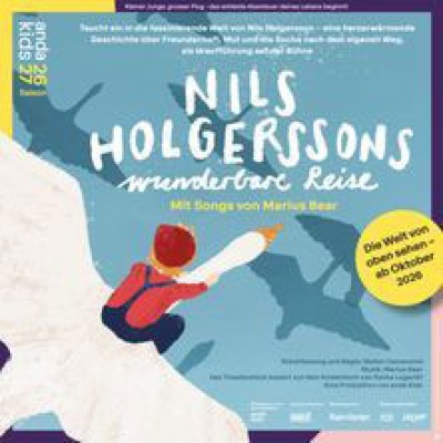 El maravilloso viaje de Nils Holgersson