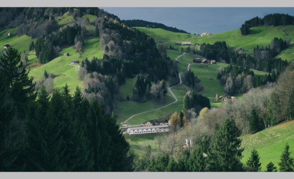 Porträt einer Schweizer Firma. Eine Fotoserie von Barbara Da
