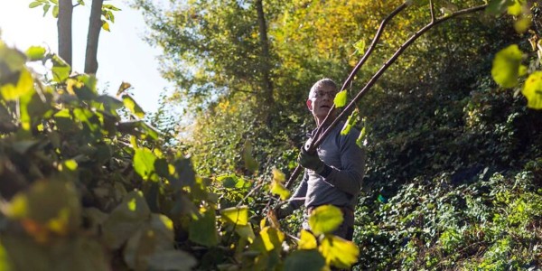 Nature Connects – Tree Care in the Valley of Humility