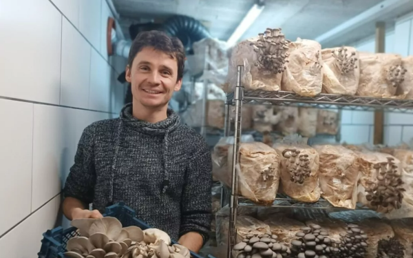 Mykologie en casa: del micelio al plato