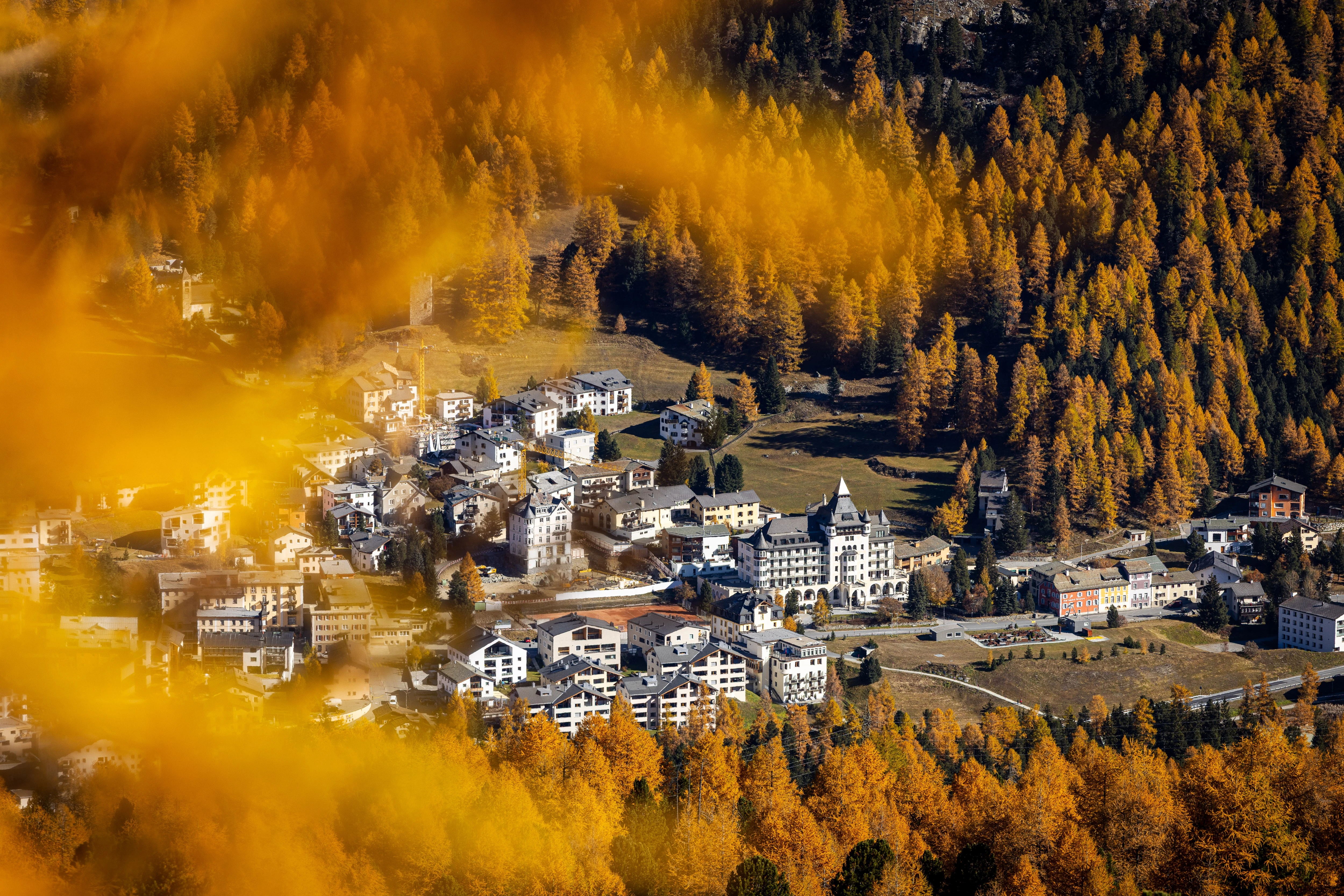 Larches & Light: Photo Hike in Engadin