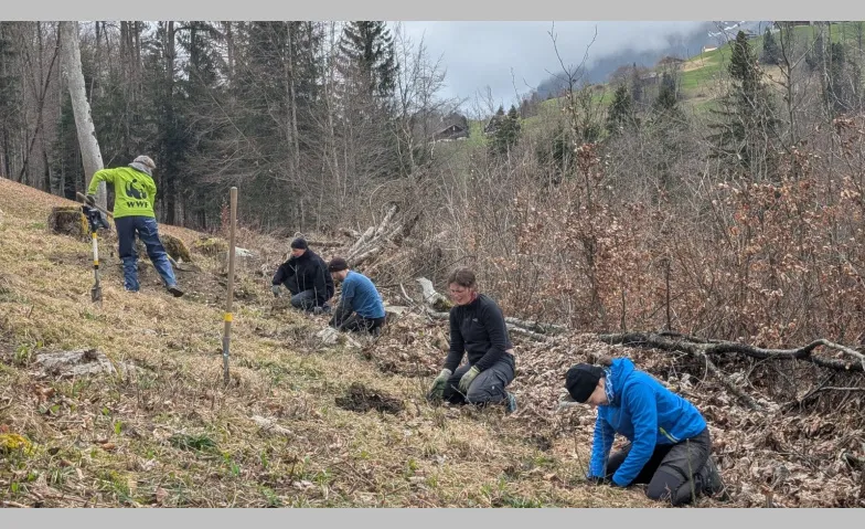 Natur verbindet – Heckenpflanzung auf dem Hof Wannenwis