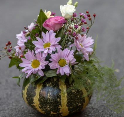 Taller de Decoración de una Calabaza de Halloween con Flores Frescas