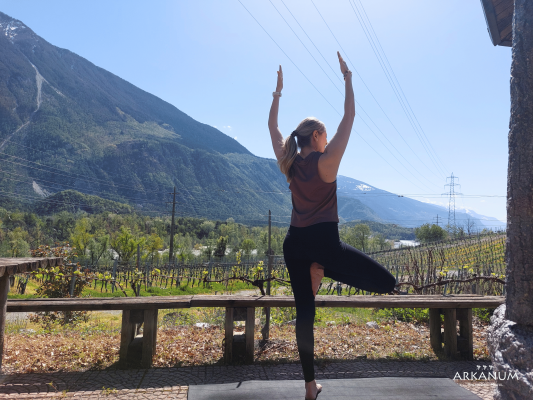 Yoga Retreat in the Vineyards of Salgesch
