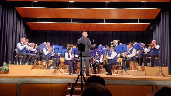 Annual Concert with Theater