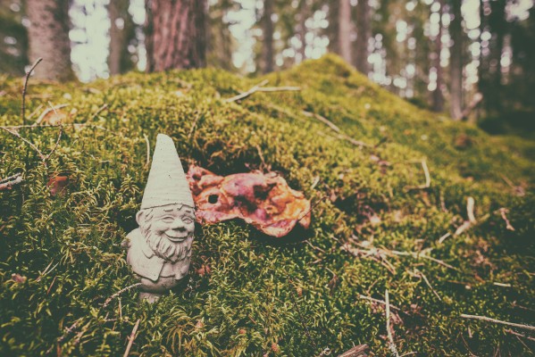 La Maison des Contes et Légendes : Entrez dans le Monde Secret des Petits Peuples