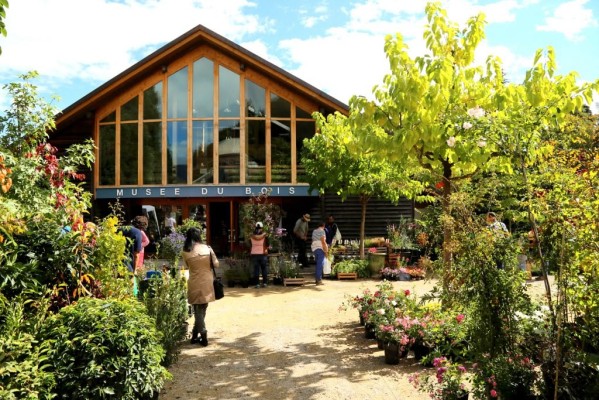 Marché aux plantes & Journée de l'arbre
