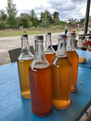 DIY Apple Cider Press – Press Your Own Apple Juice